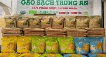 Cổ phiếu Gạo Trung An (TAR) được giao dịch trên UPCoM từ 31/5