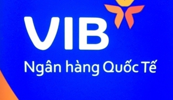 Thủ đoạn lừa đảo tấn công mạng ngày càng tinh vi, có tới 18 website giả mạo ngân hàng VIB