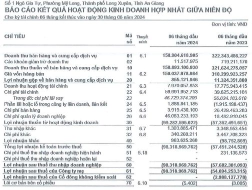 XNK An Giang liên tiếp thua lỗ, cầm cố nhiều tài sản tại một nhà băng