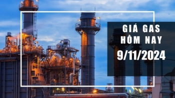 Giá gas hôm nay 9/11/2024: Thế giới tăng nhẹ, trong nước duy trì cao