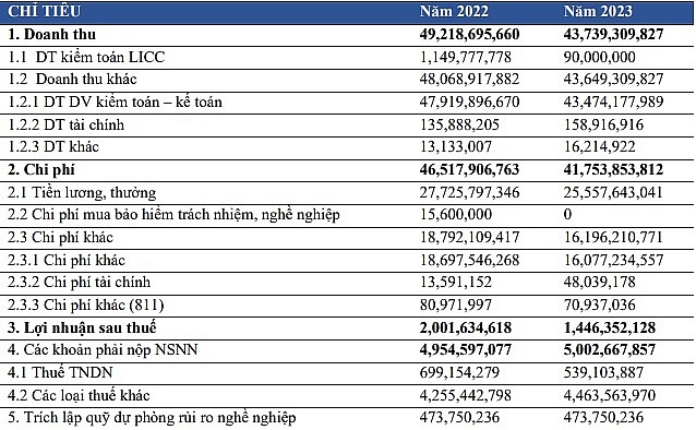 Kết quả kinh doanh năm 2023 của DFK Việt Nam có sự sụt giảm rõ rệt so với cùng kỳ