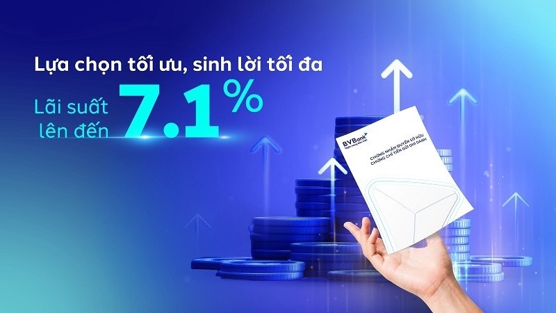 Bản tin tài chính - ngân hàng 20/11: Đồng USD suy yếu, LPB cảnh báo thủ đoạn đánh cắp thông tin thẻ ATM,...