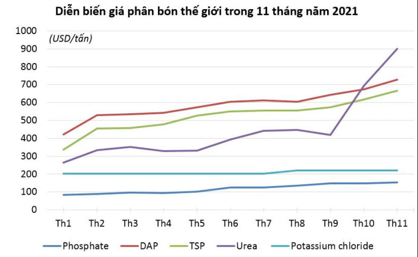 Giá phân bón tăng chóng mặt, đạm Urê vượt kỷ lục của năm 2008