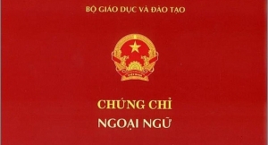 Bỏ cấp chứng chỉ ngoại ngữ trong giáo dục thường xuyên từ ngày 15/11/2020