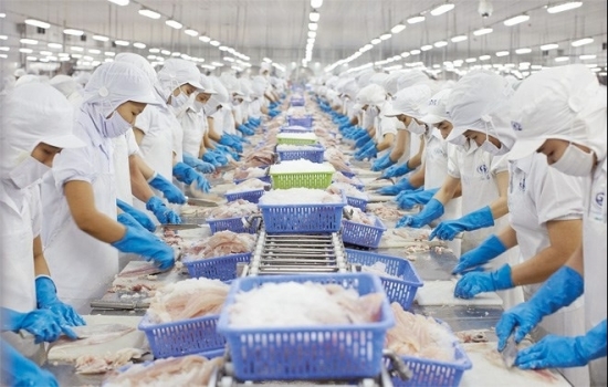 Thị trường xuất khẩu hải sản bật tăng mạnh mẽ