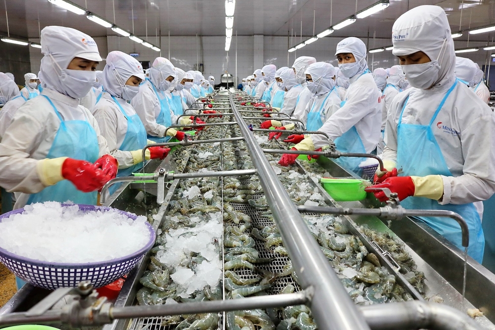 Thủy sản Minh Phú: Thị trường tôm gặp khó khăn trong nửa cuối năm 2022