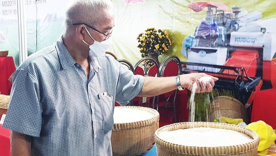 Lần đầu tiên gạo Việt Nam được bày bán trên thị trường Nhật Bản