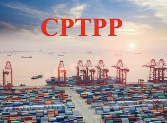 Quy định về đấu thầu mua sắm hàng hóa theo Hiệp định CPTPP