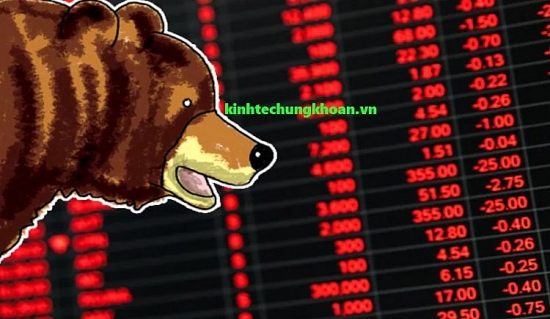 Cách quản trị rủi ro danh mục khi rơi vào "thị trường gấu"