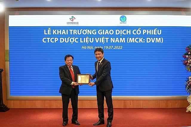 Dược liệu Việt Nam (DVM): Thị giá 