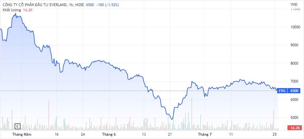 “Sếp phó” Everland hoàn tất gom 2,8 cổ phiếu EVG