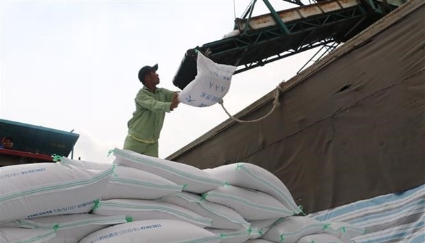 Nguyên nhân nào khiến gạo xuất khẩu của Việt Nam vẫn chưa dùng hết hạn ngạch 80.000 tấn của hiệp định EVFTA?