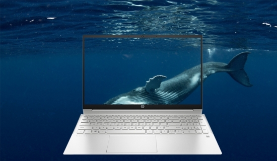 Điểm danh những chiếc laptop HP sở hữu màn hình lớn với mức giá dưới 20 triệu đồng