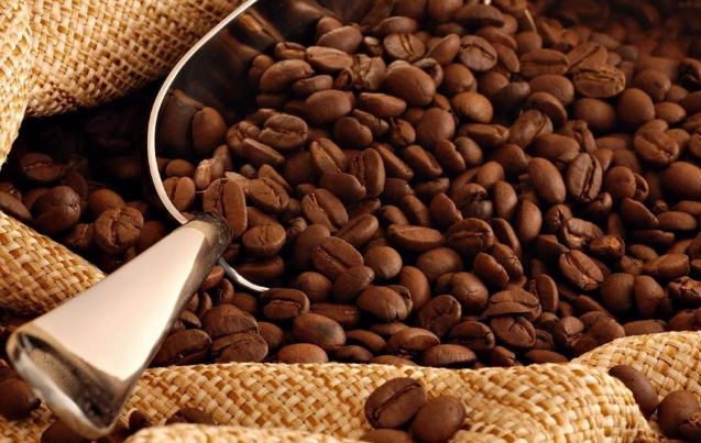 Giá cà phê tăng trong bối cảnh tồn kho thấp nhất trong nhiều năm