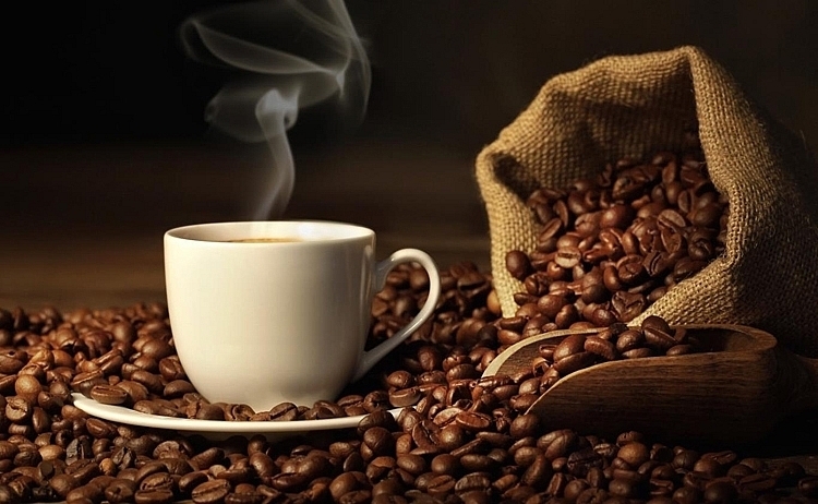 Giá cà phê hôm nay 27/9/2022: Đồng loạt giảm 500 đồng/kg