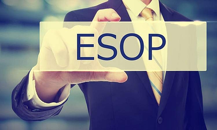 Cổ phiếu Esop (phần 1): Khái niệm và mục đích phát hành cổ phiếu Esop