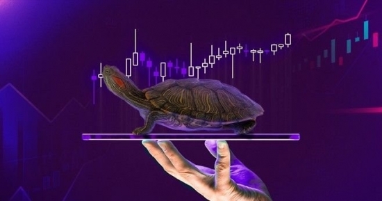 Khái niệm và đặc điểm của phương pháp turtle trading