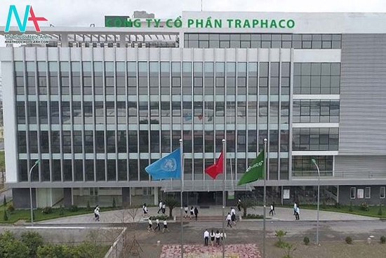 Traphaco tạm ứng cổ tức đợt 1/2022 bằng tiền mặt, tỷ lệ 20%