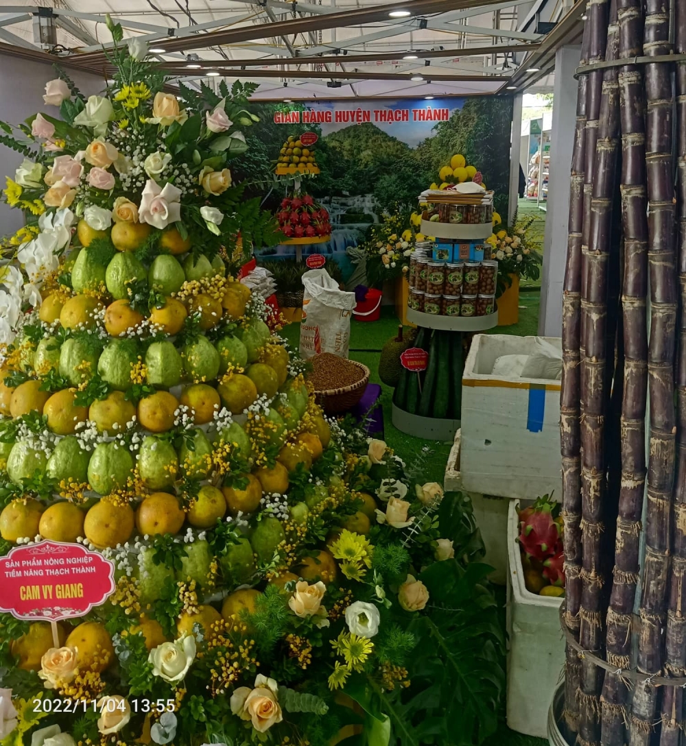 Khai trương trưng bày và giới thiệu sản phẩm nông sản, thực phẩm an toàn tỉnh Thanh Hóa năm 2022