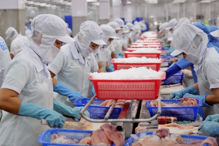 hầu hết các thị trường nhập khẩu cá tra Việt Nam đều ghi nhận mức tăng trong khoảng 40 đến 200%
