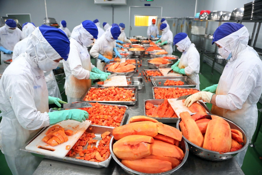 Vĩnh Hoàn (VHC) rót thêm 158 tỷ đồng vào công ty con chuyên sản xuất trái cây