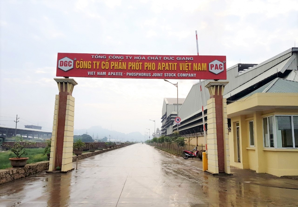 Phốt pho Apatit Việt Nam (PAT) sắp trả nốt cổ tức năm 2022 bằng tiền, tỷ lệ 100%