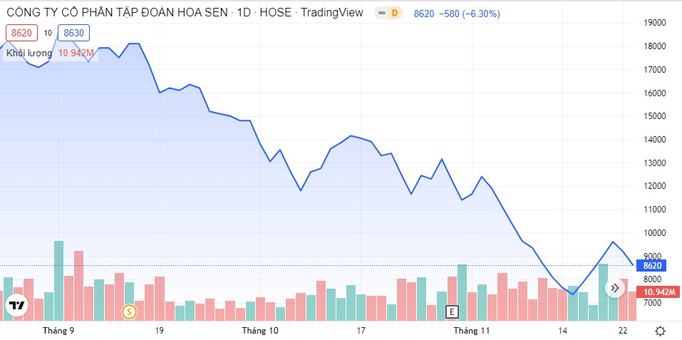 Cổ phiếu HSG giảm hơn 82% thị giá, liên tiếp các lãnh đạo Hoa Sen 