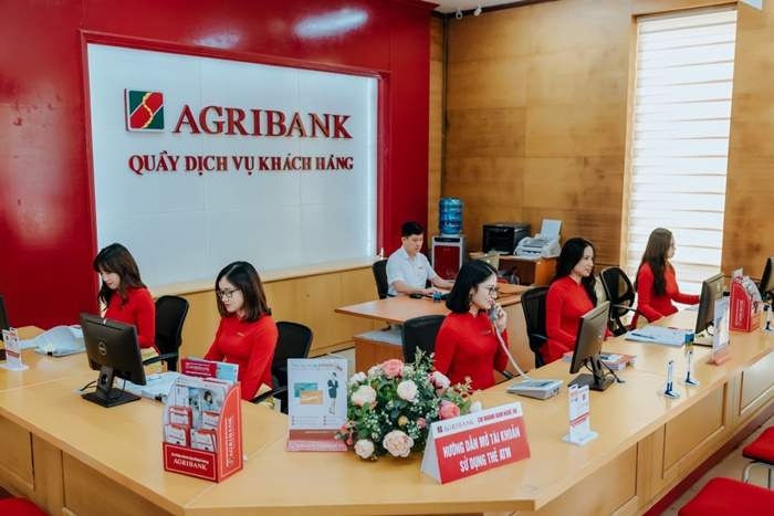 Agribank rao bán tài sản Công ty Thái Đăng Long gồm 6 QSD đất và 8 xe ô tô