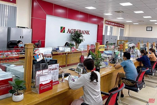 Agribank “đại hạ giá” khu du lịch nghỉ dưỡng khoáng nóng Cúc Phương để thu hồi nợ