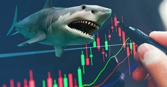 "Cá mập" PYN Elite Fund đang rất tin tưởng vào cổ phiếu ngân hàng