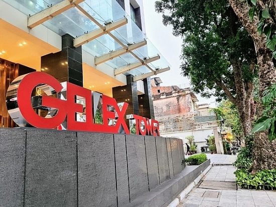 Gelex (GEX) muốn nâng sở hữu tại Gelex Hạ tầng từ Gelex Electric