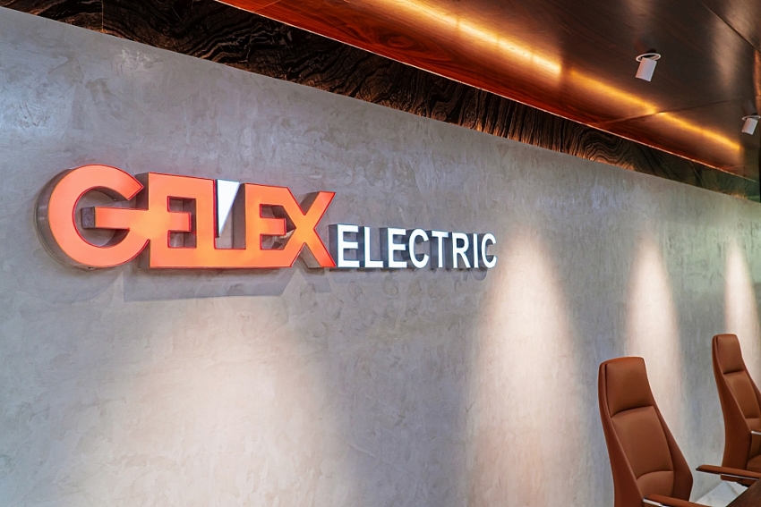 GEE là một trong hai công ty sub-holdings của Tập đoàn GELEX