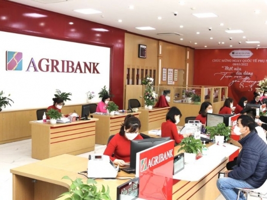 Agribank rao bán lô đất 473m2 với giá khởi điểm 23 tỷ đồng tại TP Thủ Đức