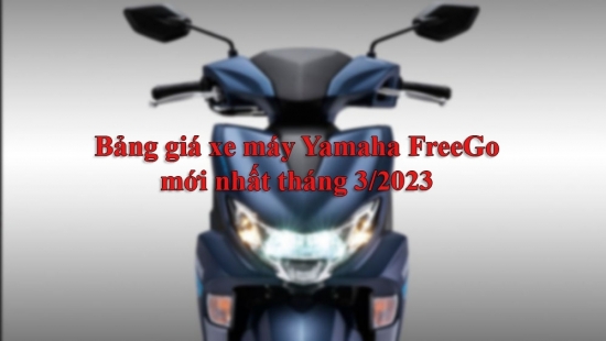Giá xe máy Yamaha FreeGo 2023 mới nhất ngày 9/3: Honda Vision "đứng ngồi không yên"