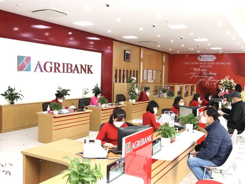 Nhiều tài sản công ty con của Tân Hoàng Minh được Agribank rao bán để thu hồi nợ xấu