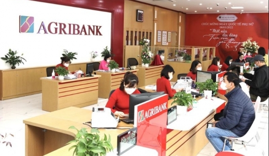 Nhiều tài sản công ty con của Tân Hoàng Minh được Agribank rao bán để thu hồi nợ xấu