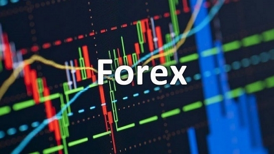 Rủi ro 'mất trắng' khi 'đổ' tiền vào các sàn giao dịch ngoại hối Forex