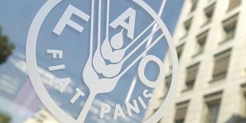 Tìm hiểu về tổ chức FAO, vai trò của tổ chức FAO