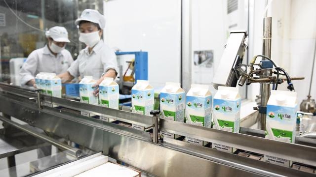 Mộc Châu Milk (MCM) trả cổ tức 10%, nhóm Vinamilk dự thu gần 75 tỷ đồng