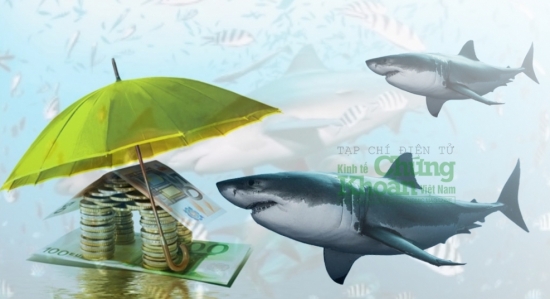 Dòng tiền "cá mập" ngày 3/6: Lệnh bán lớn xuất hiện ở cổ phiếu chứng khoán, BĐS,...