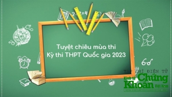 Các dạng thường gặp trong đề thi môn Toán tốt nghiệp THPT 2023