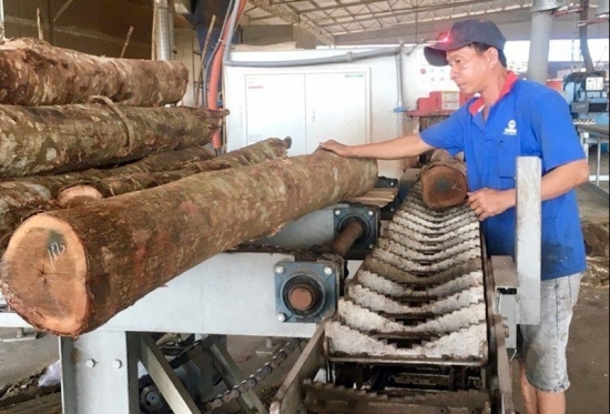 Tháo gỡ khó khăn cho các doanh nghiệp gỗ