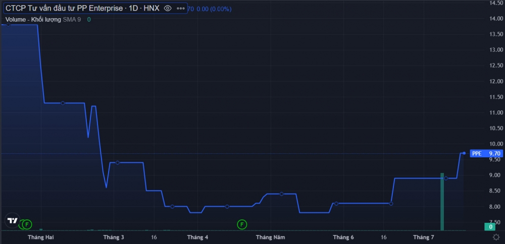 PP Enterprise (PPE) đón thêm một cá nhân vào ghế cổ đông lớn công ty