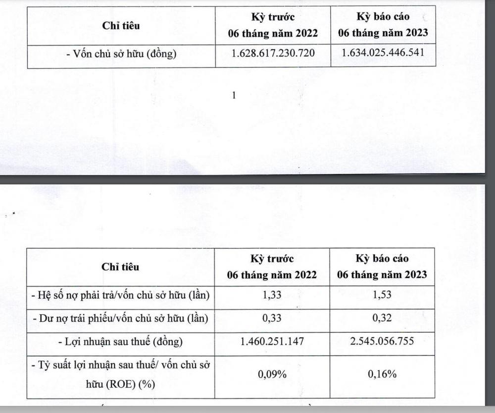 BIDGroup của ông Trần Văn Mạnh lãi 2,5 tỷ đồng, tổng nợ tăng vọt 2.500 tỷ đồng