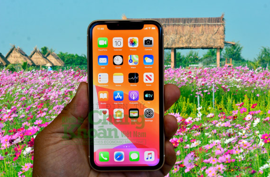 Giá iPhone 11 mới nhất đầu tháng 9/2023: 