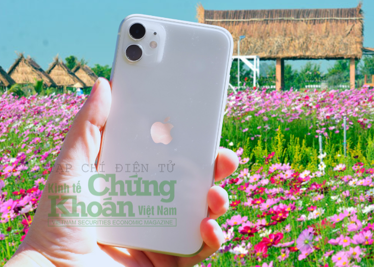 Giá iPhone 11 mới nhất đầu tháng 9/2023: 