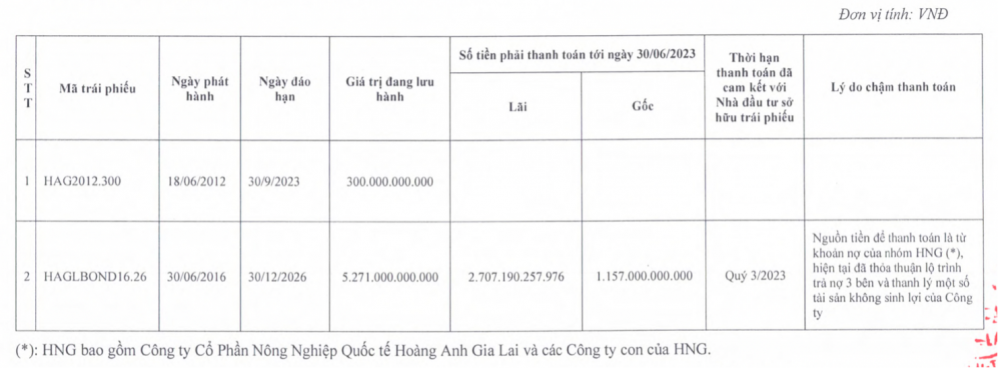 Hoàng Anh Gia Lai (HAG) chậm trả 3.800 tỷ đồng lãi và gốc trái phiếu đến hạn