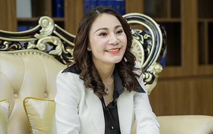 Tạm giữ Tổng giám đốc Bất động sản Nhật Nam, Chủ tịch Sông Đà 1.01 Vũ Thị Thúy