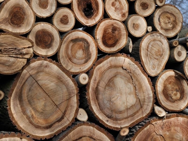 Lý do xuất khẩu gỗ và sản phẩm gỗ vẫn chưa bớt khó