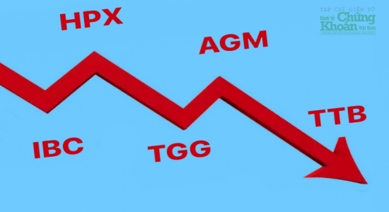 Nhà đầu tư "hoảng loạn bỏ tàu" HPX, AGM, TTB, TGG và IBC vì bị đình chỉ giao dịch